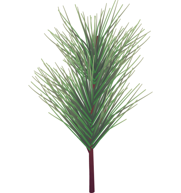 Christmass Illustration 04b@2x