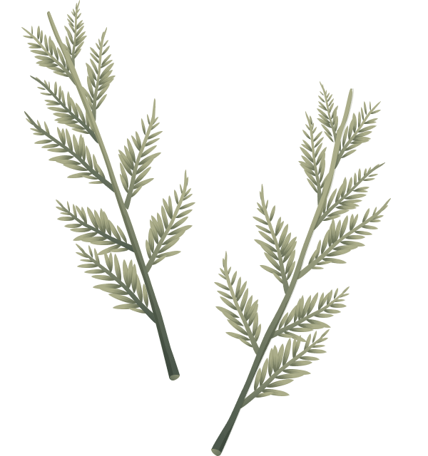 Christmass Illustration 05b@2x