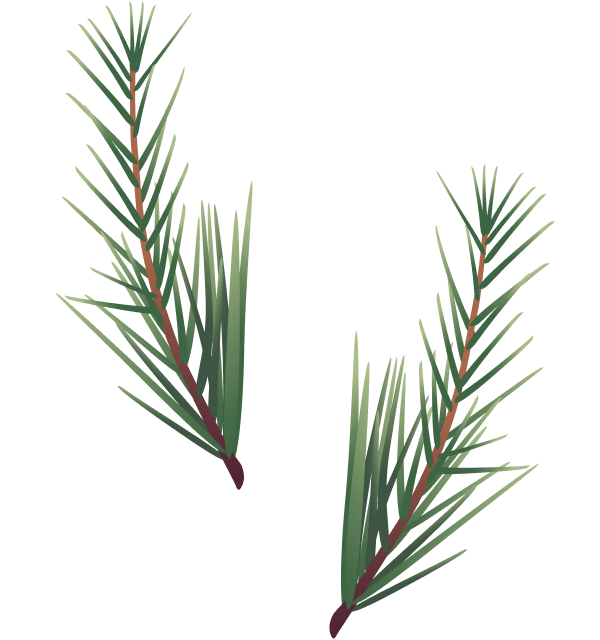 Christmass Illustration 07b@2x