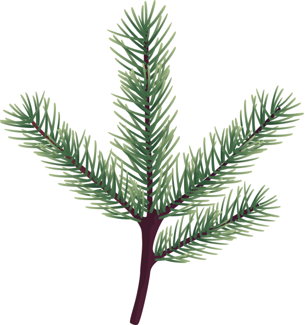 Christmass Illustration 08b@2x